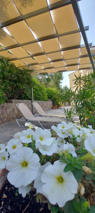 Pelagos Agios Gordios Apartment *